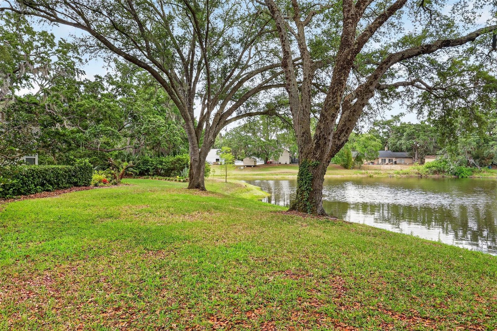 33746 SPRING DR, LEESBURG, FL, 34788