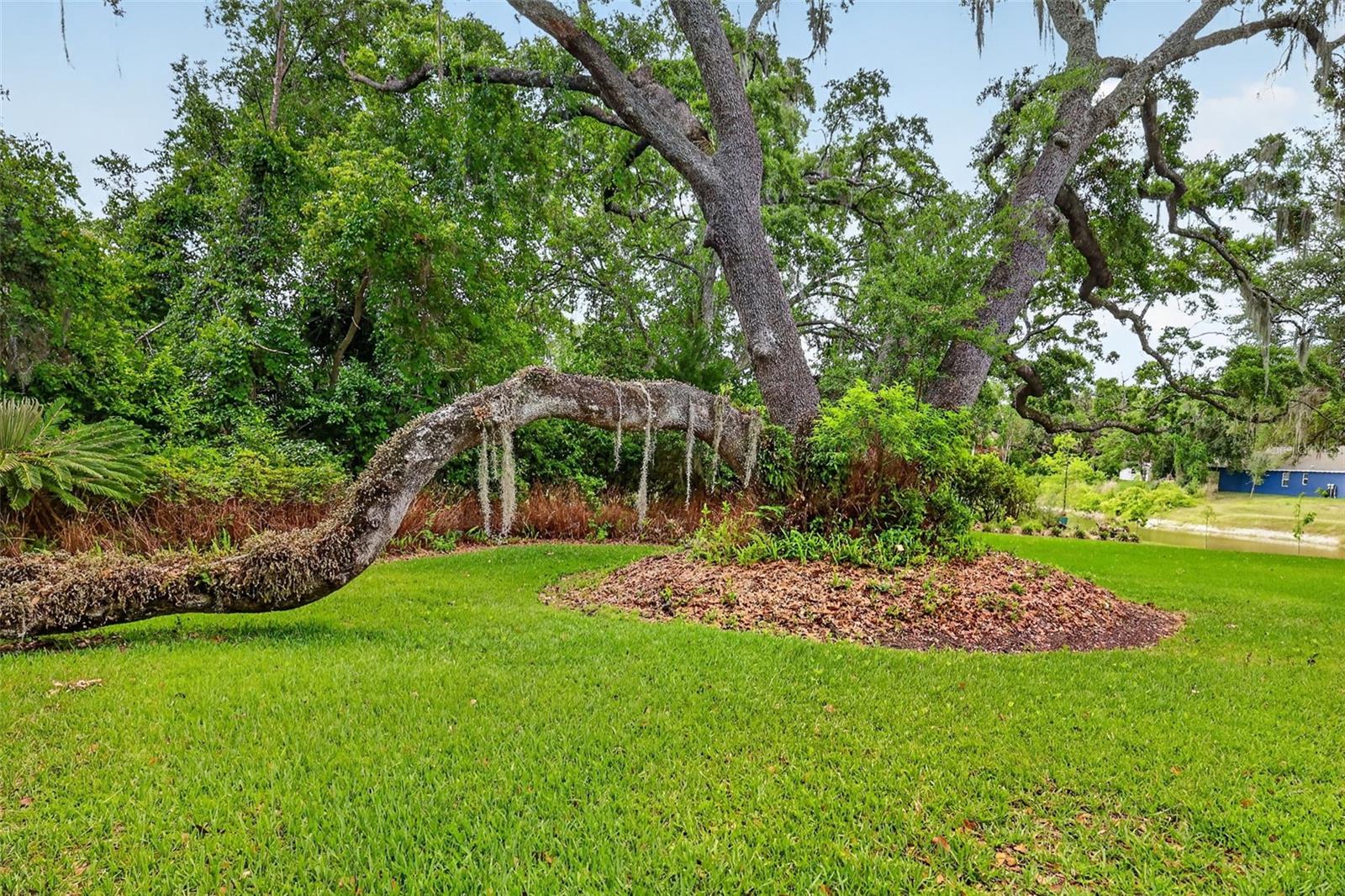 33746 SPRING DR, LEESBURG, FL, 34788
