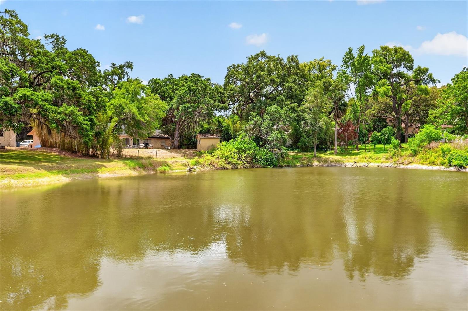 33746 SPRING DR, LEESBURG, FL, 34788