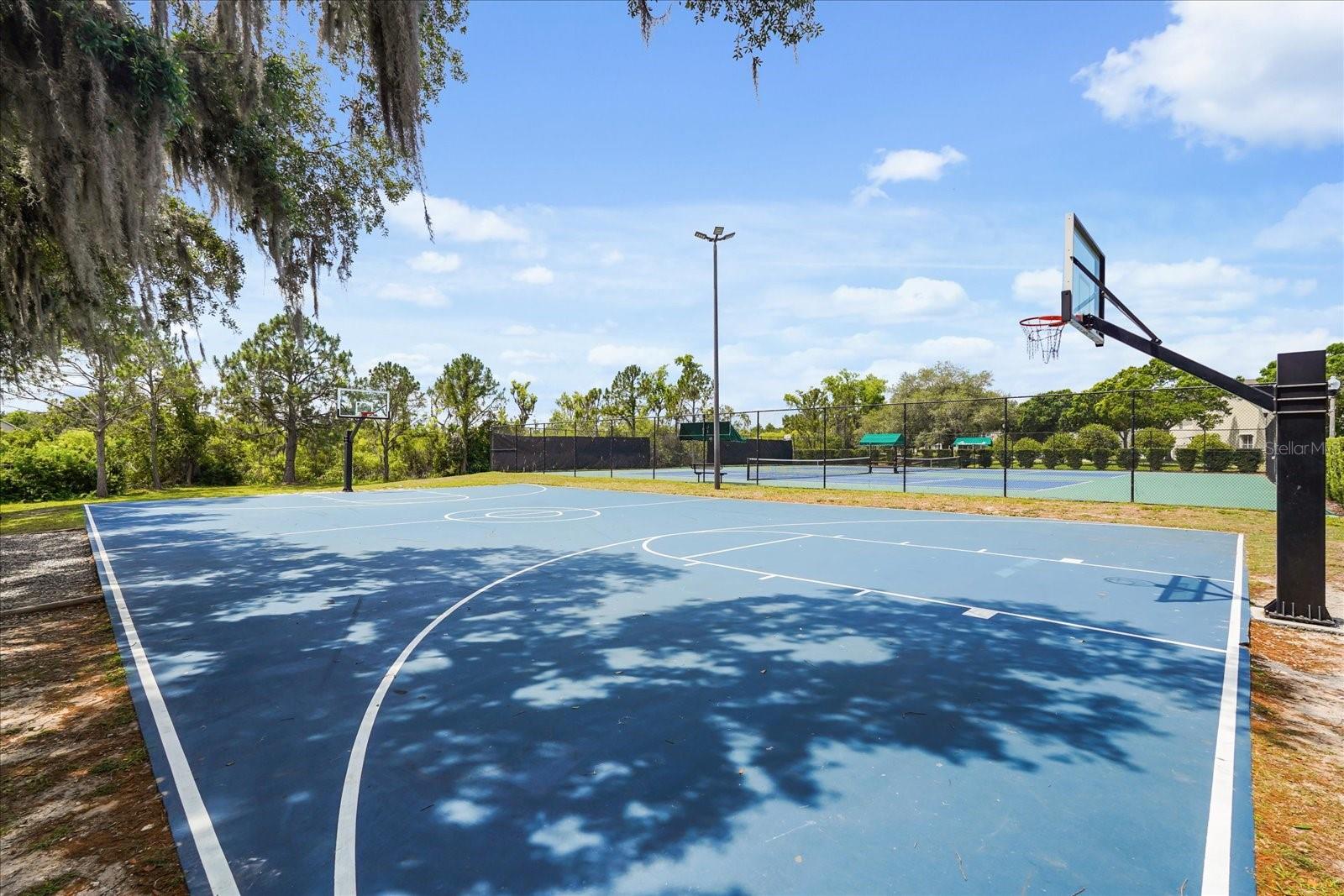 13633 ANCILLA BLVD, WINDERMERE, FL, 34786