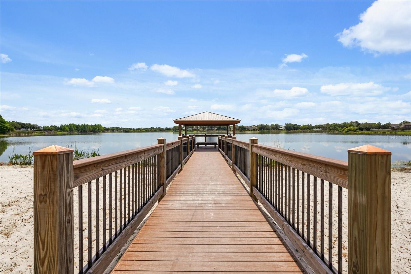 13633 ANCILLA BLVD, WINDERMERE, FL, 34786