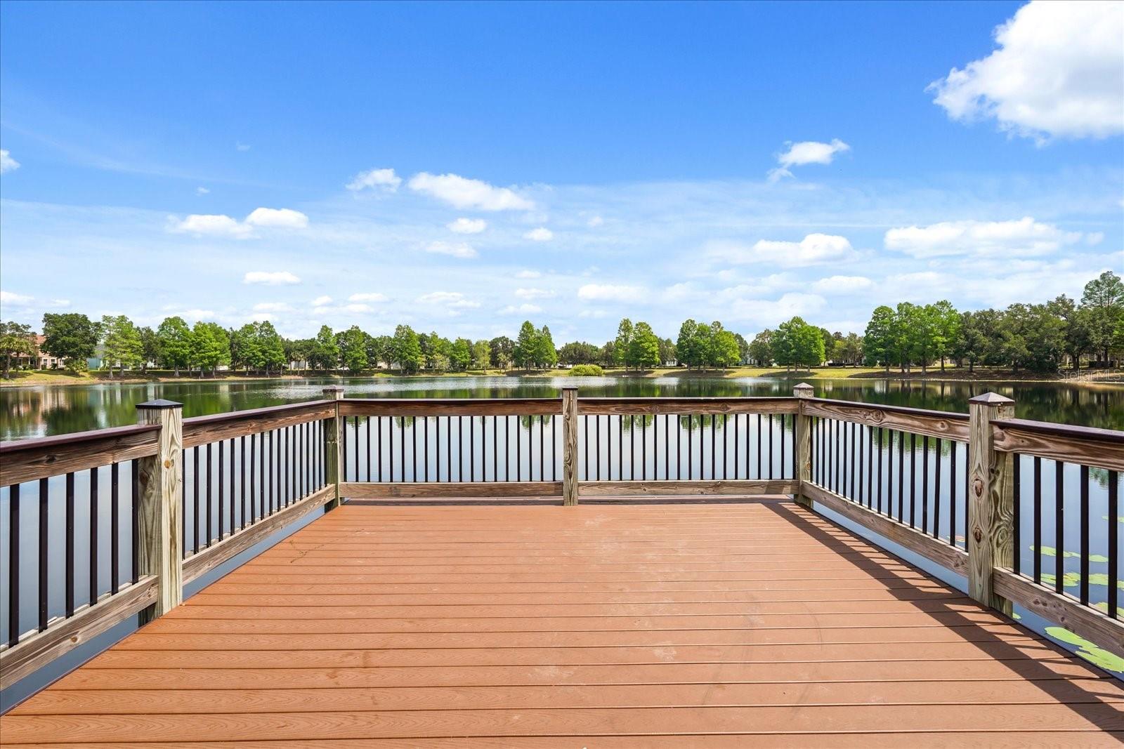 13633 ANCILLA BLVD, WINDERMERE, FL, 34786