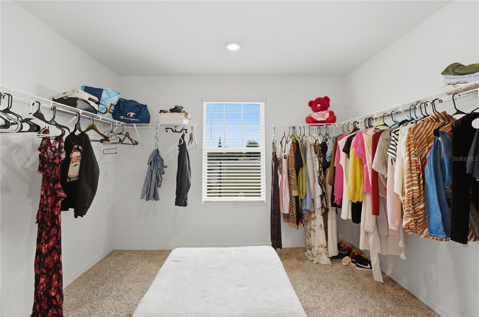 2424 WHITETAIL, DAVENPORT, FL, 33837