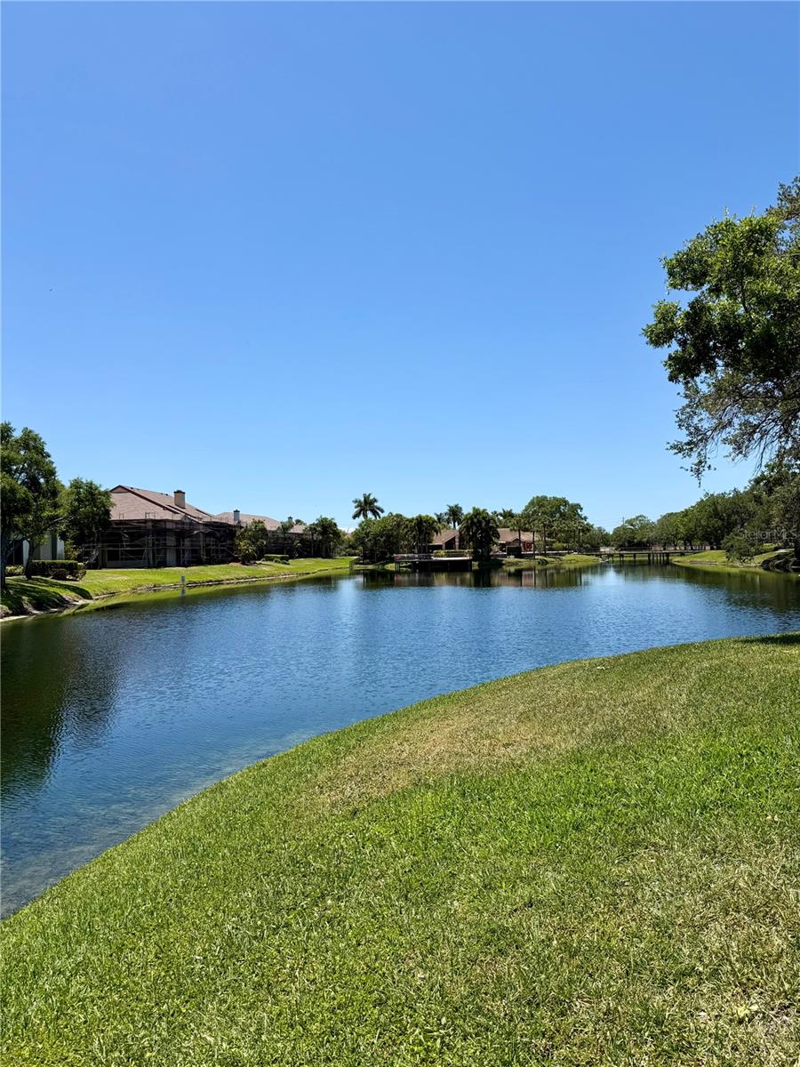 10265 GANDY BLVD N #2114, ST PETERSBURG, FL, 33702