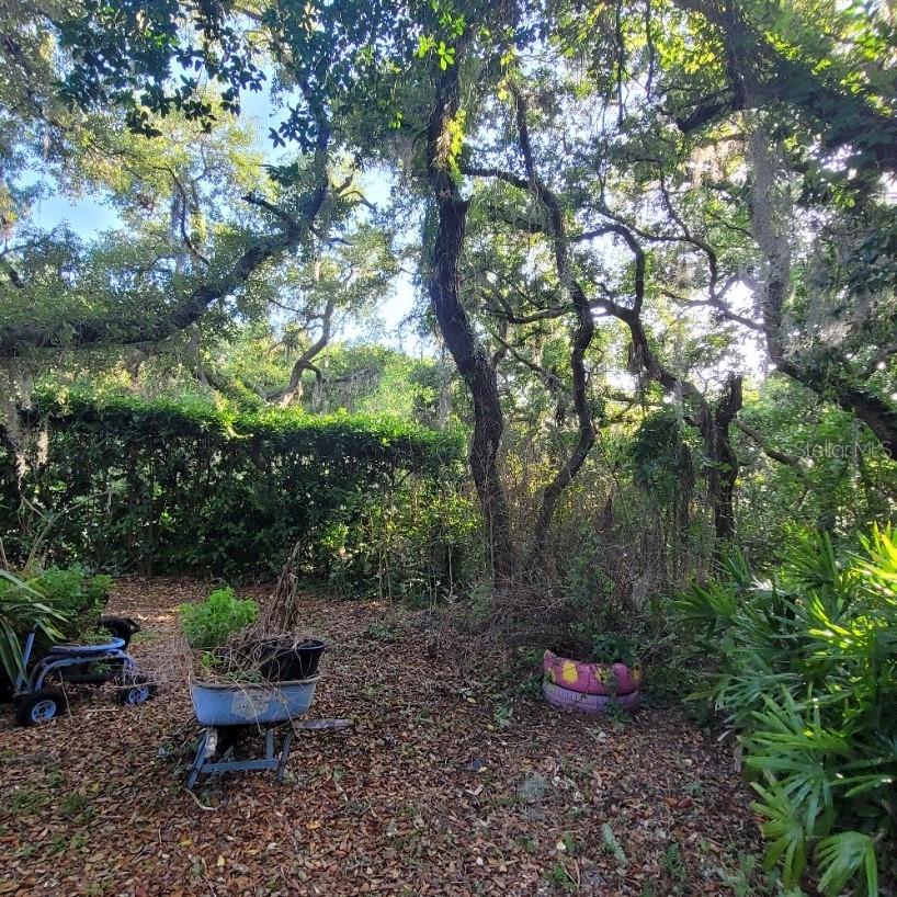 991 OLD CUTLER RD, LAKE WALES, FL, 33898