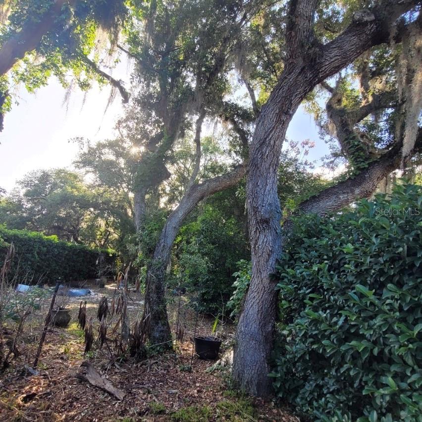 991 OLD CUTLER RD, LAKE WALES, FL, 33898