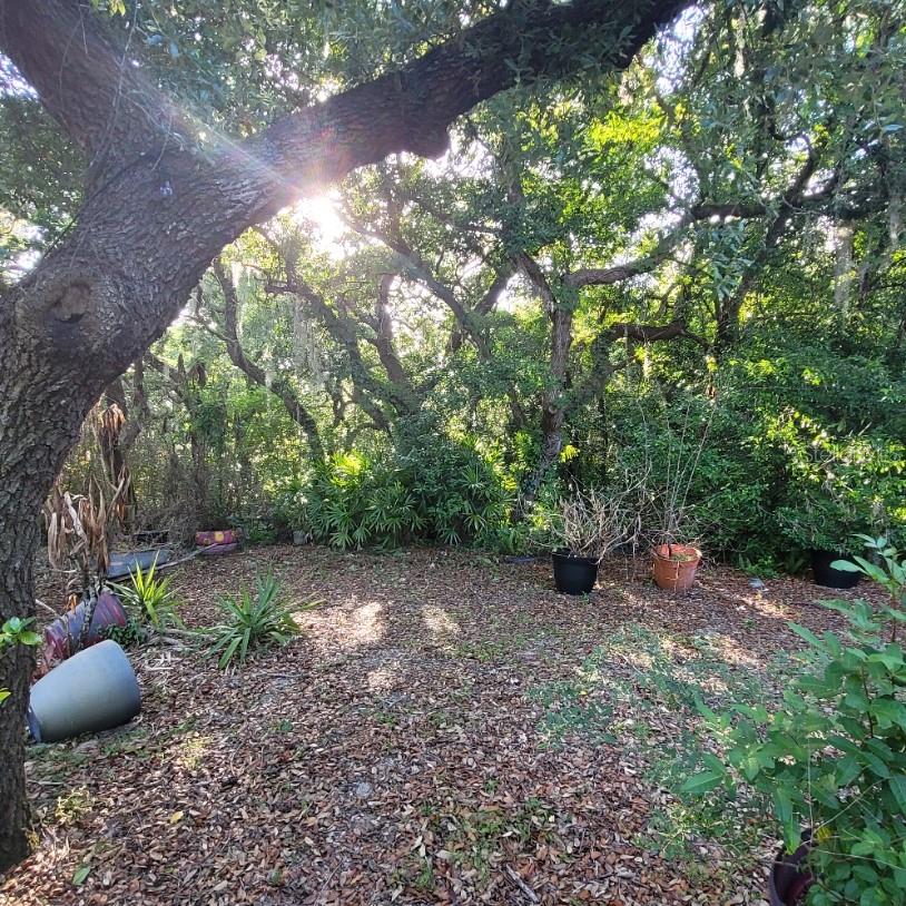 991 OLD CUTLER RD, LAKE WALES, FL, 33898