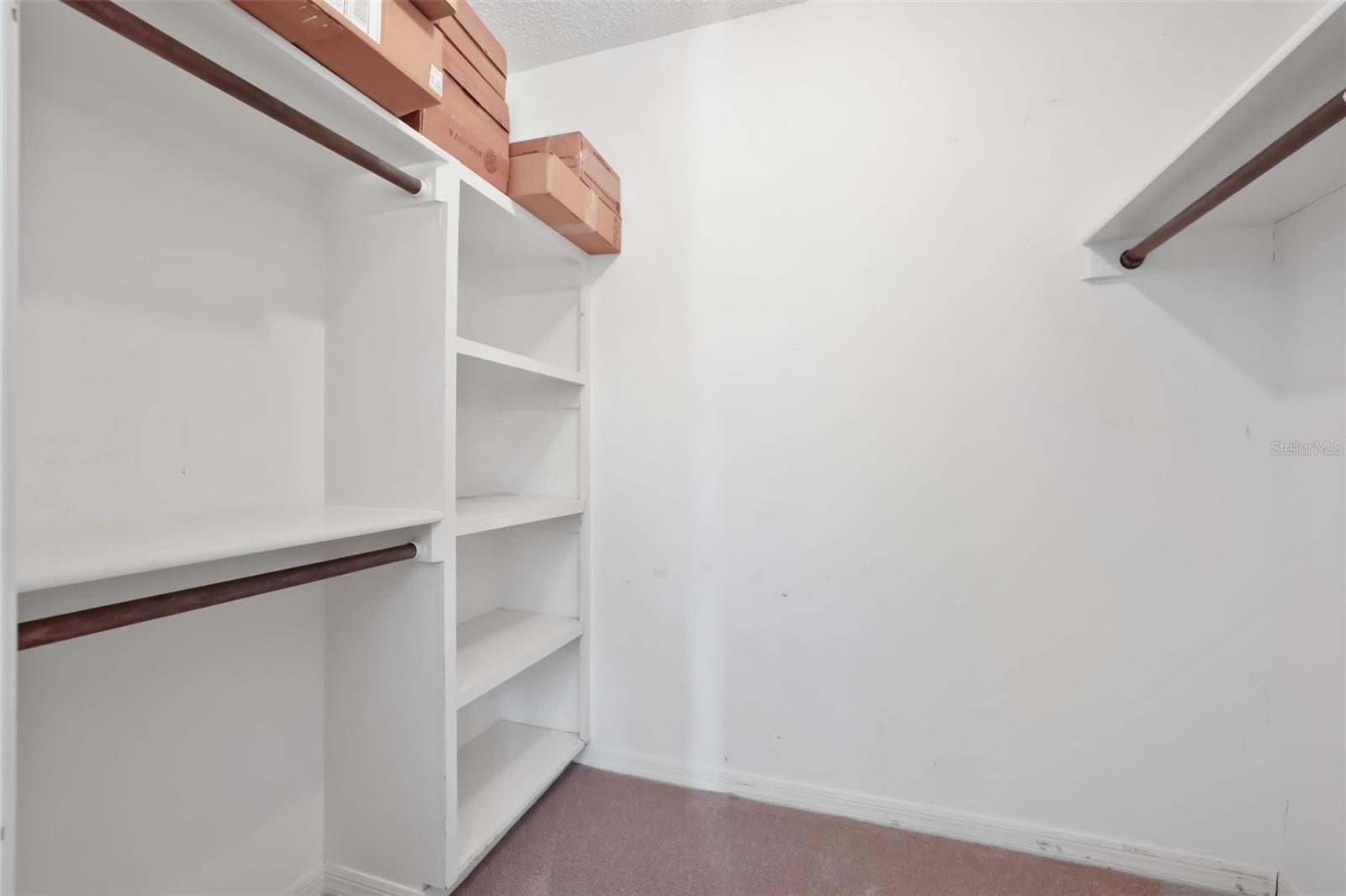 14001 COUNTRY ESTATE DR, WINTER GARDEN, FL, 34787