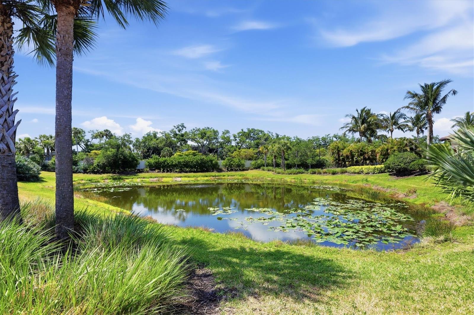 5819 CAVANO DR, SARASOTA, FL, 34231