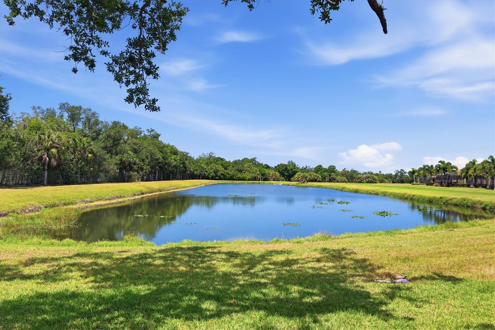 5819 CAVANO DR, SARASOTA, FL, 34231