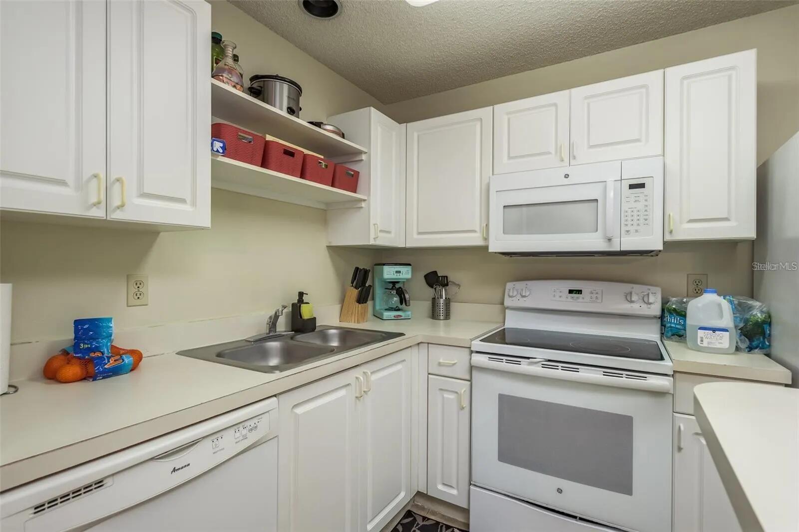 4107 CHATHAM OAK CT #313, TAMPA, FL, 33624