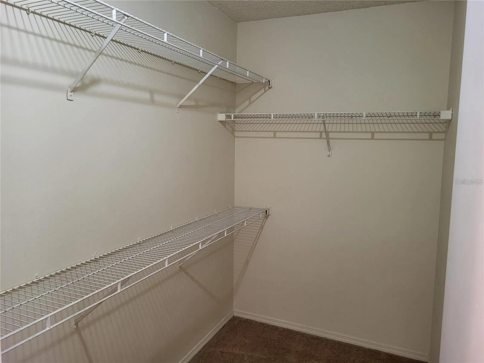 4107 CHATHAM OAK CT #313, TAMPA, FL, 33624