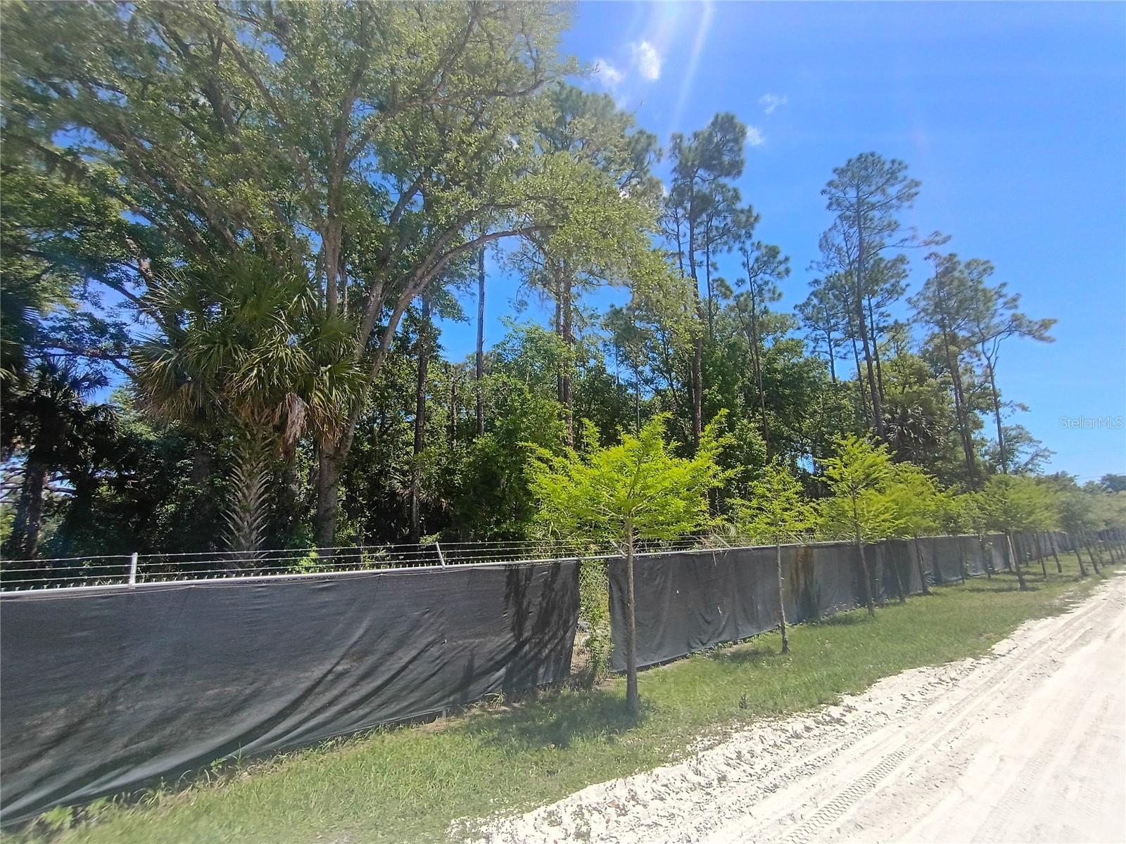 79 CR-304, BUNNELL, FL, 32110