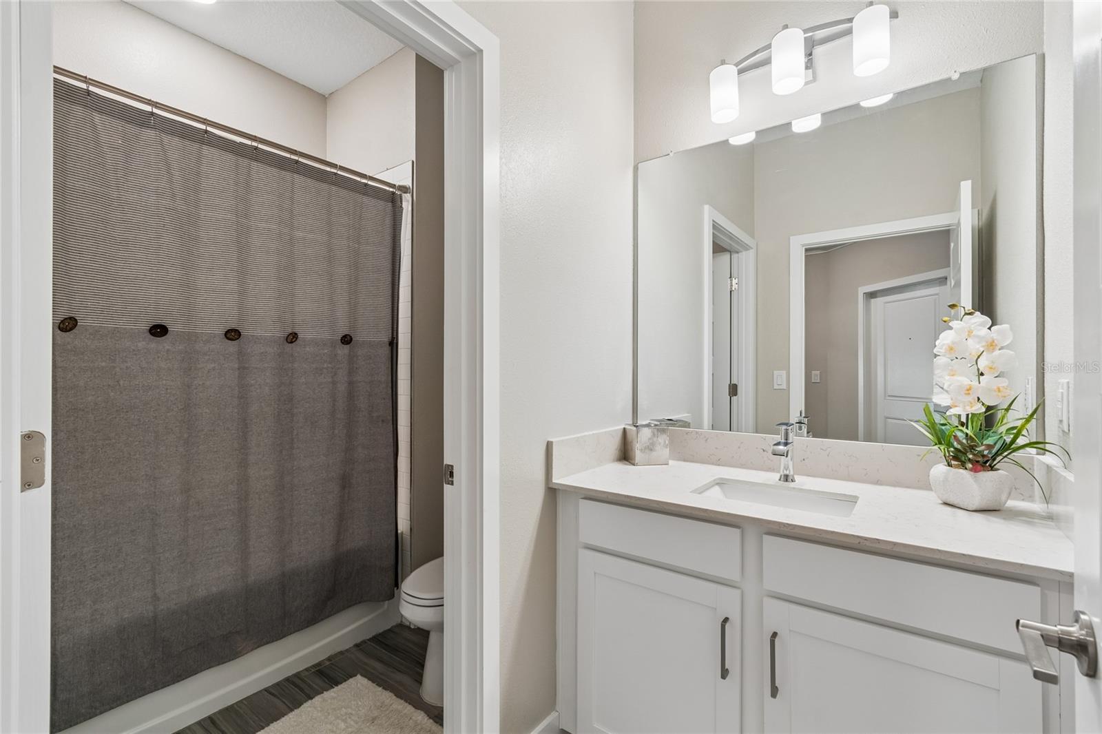 9911 CAMPANULA CT, LAND O LAKES, FL, 34637