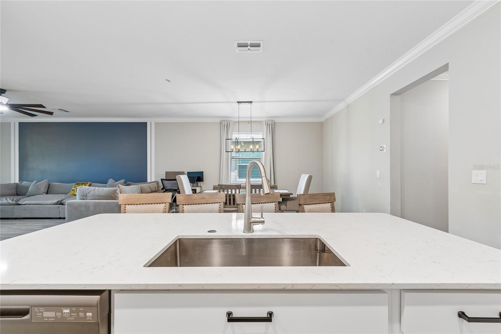 9911 CAMPANULA CT, LAND O LAKES, FL, 34637