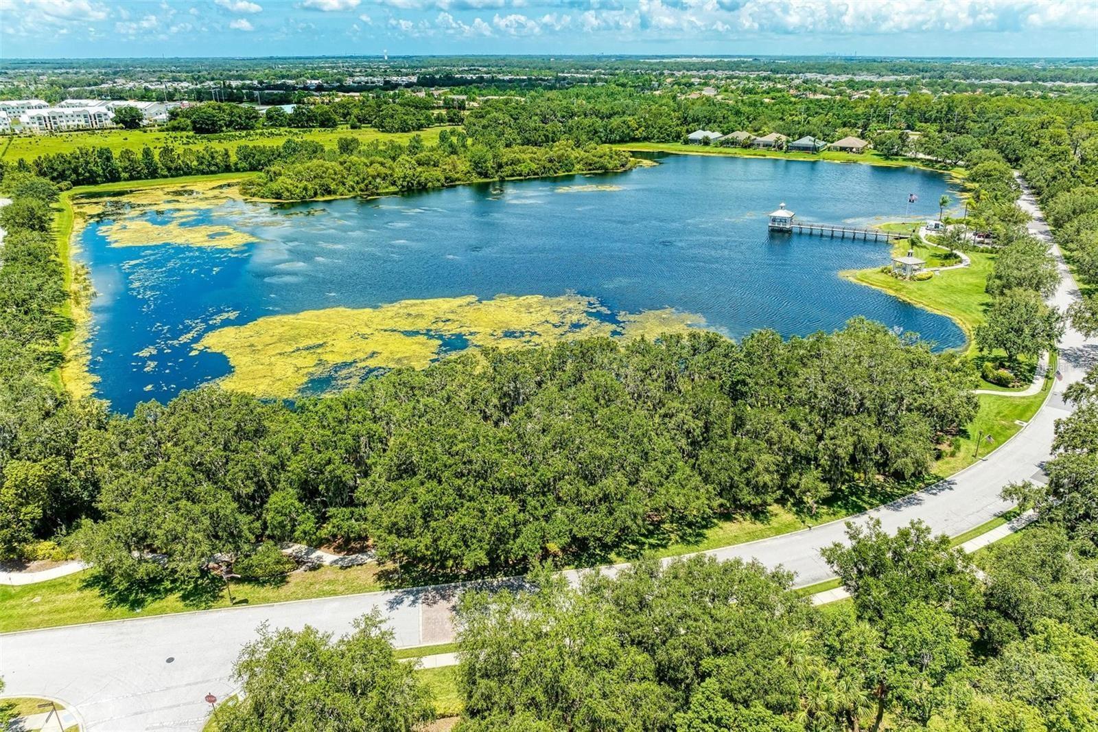 11919 MAJOR TURNER RUN, PARRISH, FL, 34219