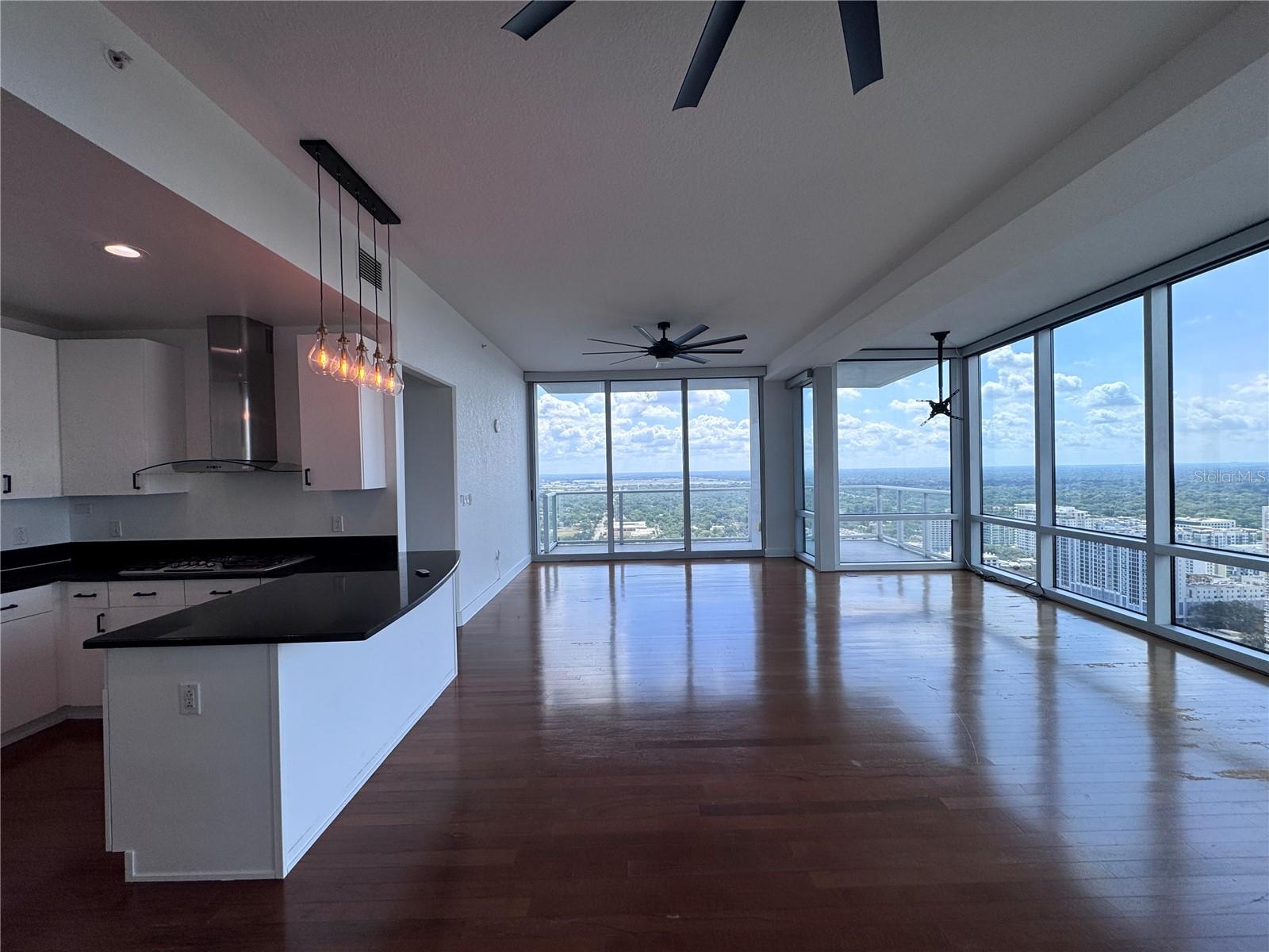 150 E ROBINSON ST E #3301, ORLANDO, FL, 32801