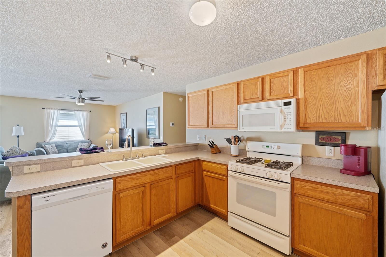 8221 SE 169TH PALOWNIA LOOP, THE VILLAGES, FL, 32162