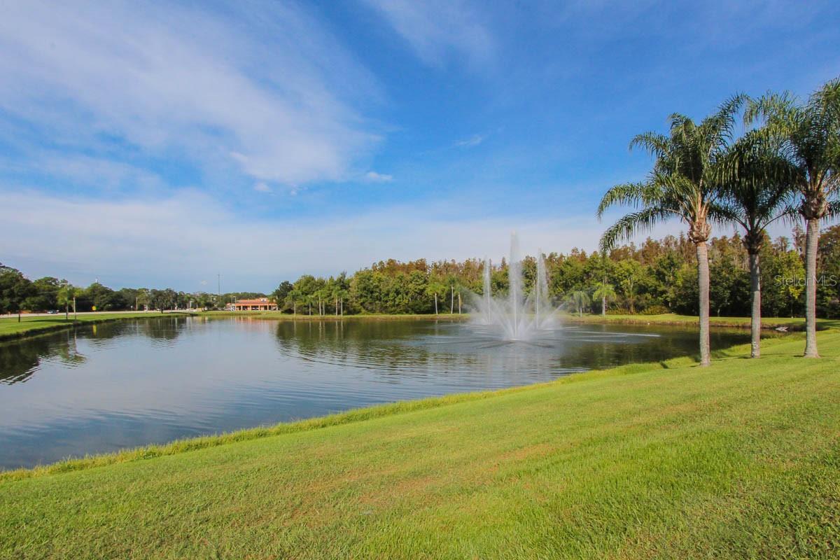 5656 ROCKFIELD LOOP, VALRICO, FL, 33596