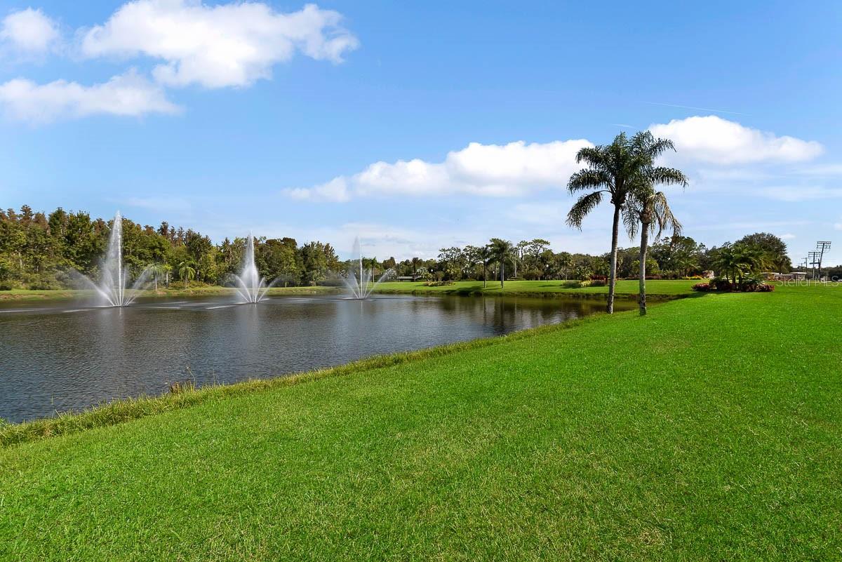 5656 ROCKFIELD LOOP, VALRICO, FL, 33596