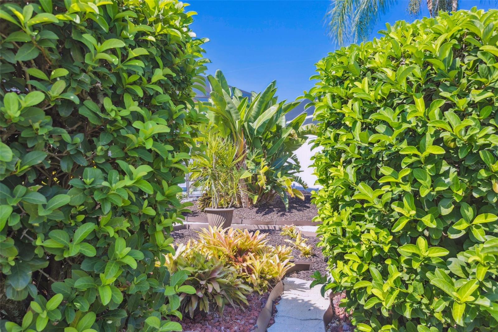 10020 CYPRESS SHADOW AVE, TAMPA, FL, 33647