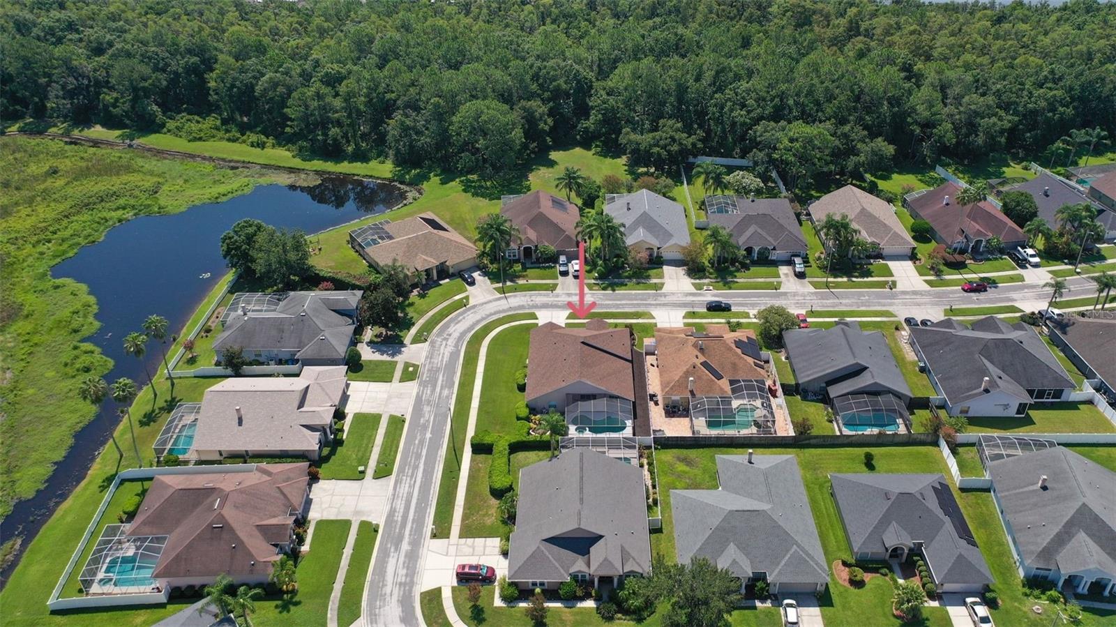 10020 CYPRESS SHADOW AVE, TAMPA, FL, 33647