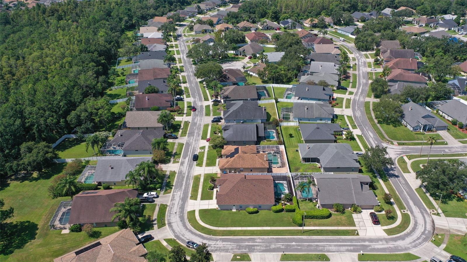 10020 CYPRESS SHADOW AVE, TAMPA, FL, 33647