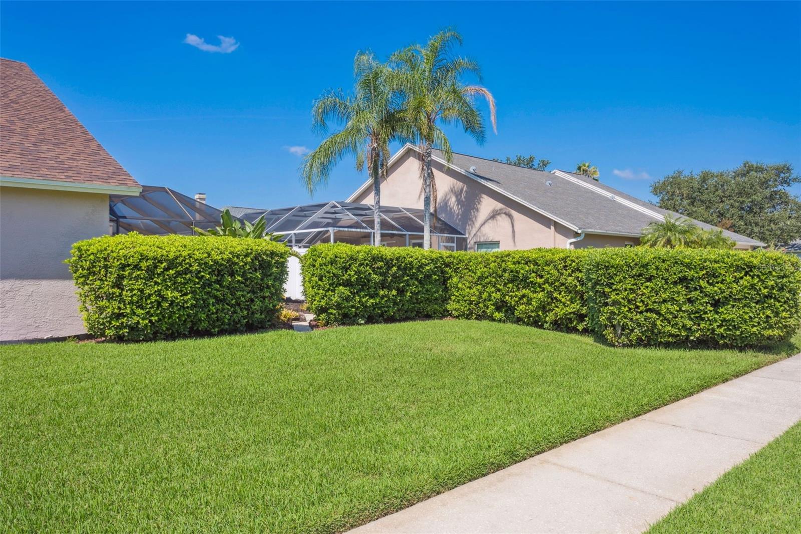 10020 CYPRESS SHADOW AVE, TAMPA, FL, 33647