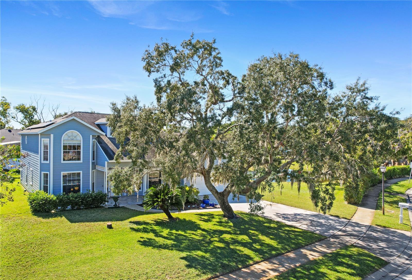6222 COURTNEY CV, APOPKA, FL, 32703