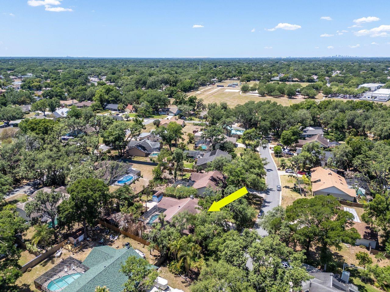2763 BUCKHORN OAKS DR, VALRICO, FL, 33594