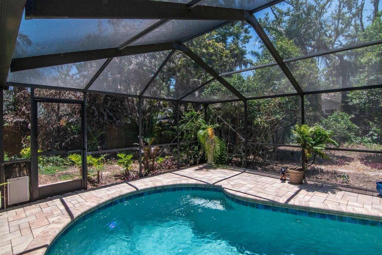 2763 BUCKHORN OAKS DR, VALRICO, FL, 33594