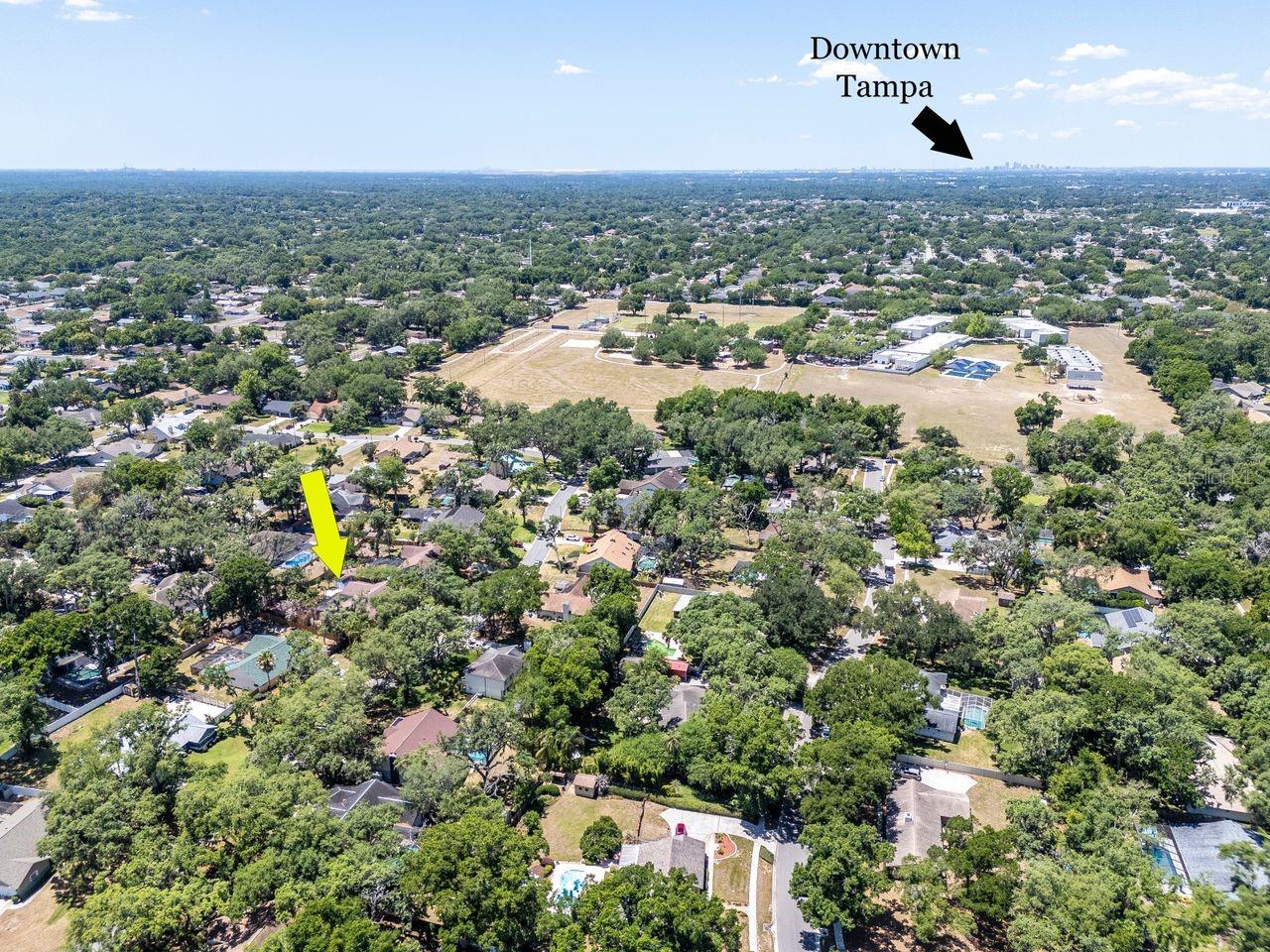 2763 BUCKHORN OAKS DR, VALRICO, FL, 33594