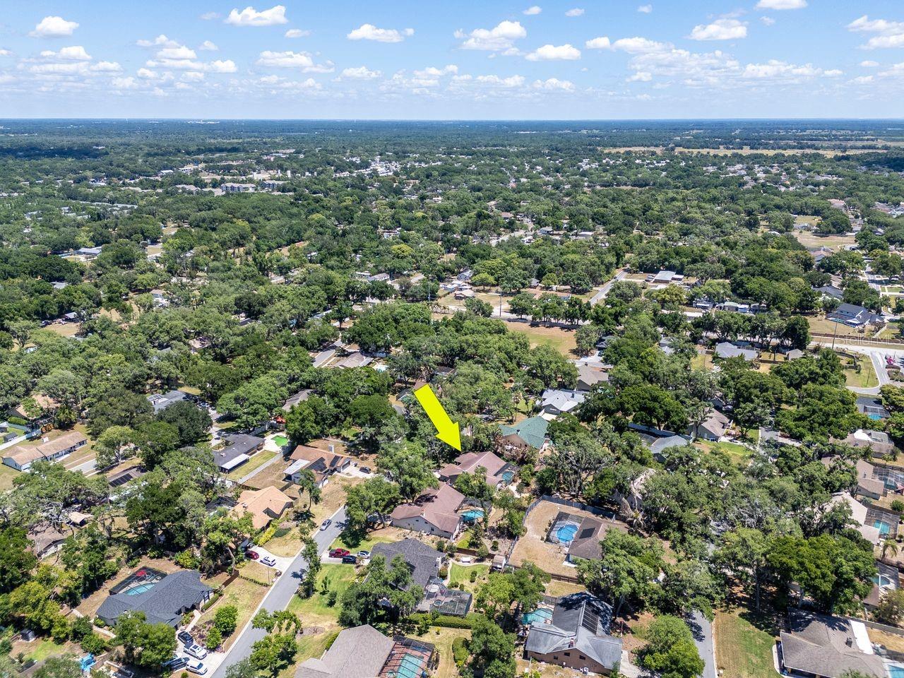 2763 BUCKHORN OAKS DR, VALRICO, FL, 33594