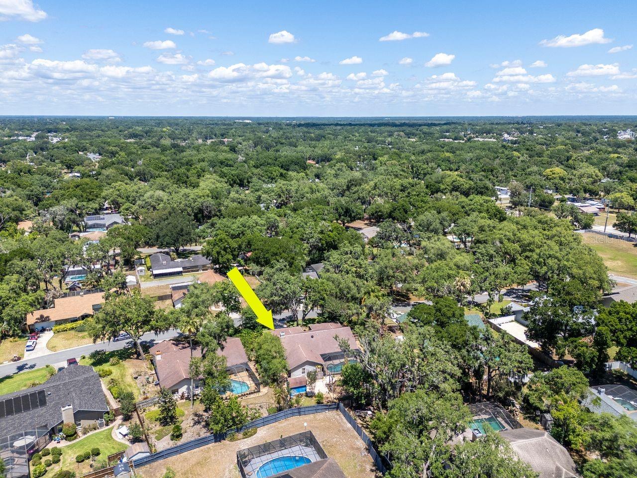 2763 BUCKHORN OAKS DR, VALRICO, FL, 33594