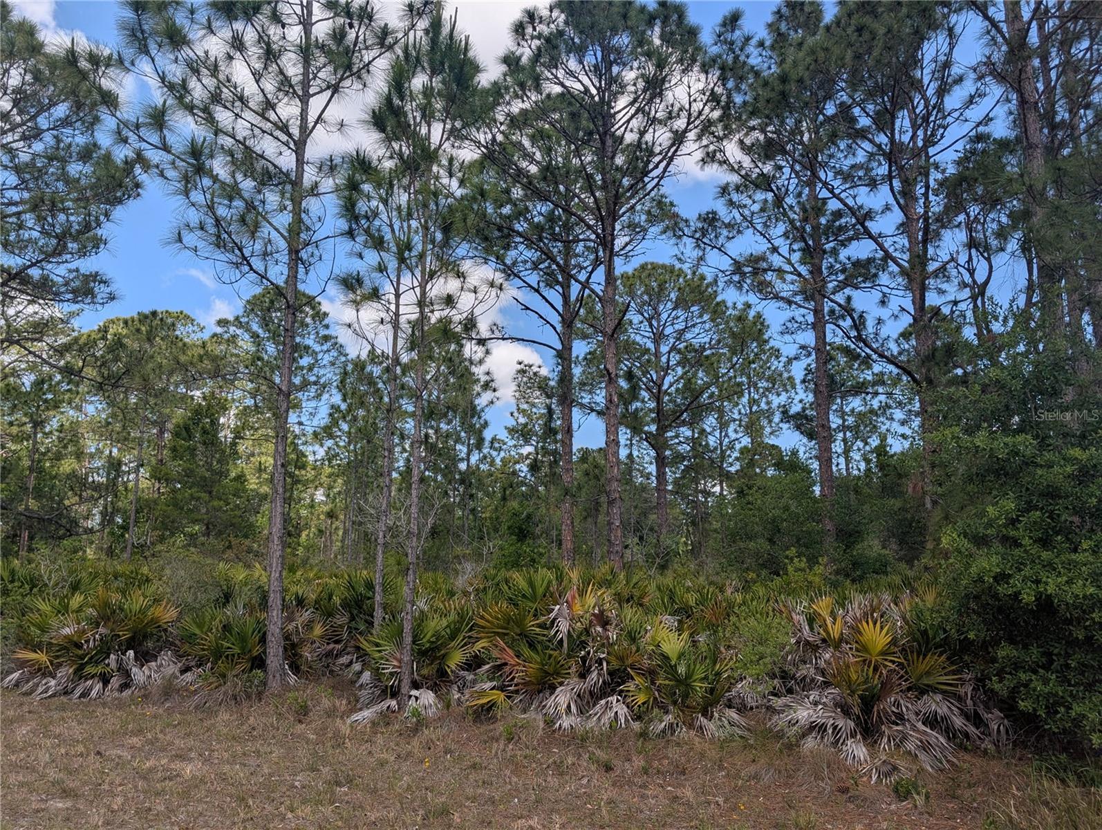 508 ORCHID DR, INDIAN LAKE ESTATES, FL, 33855