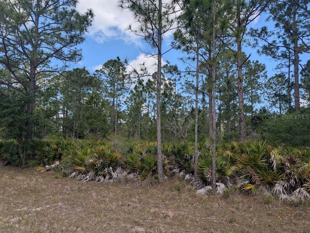 508 ORCHID DR, INDIAN LAKE ESTATES, FL, 33855