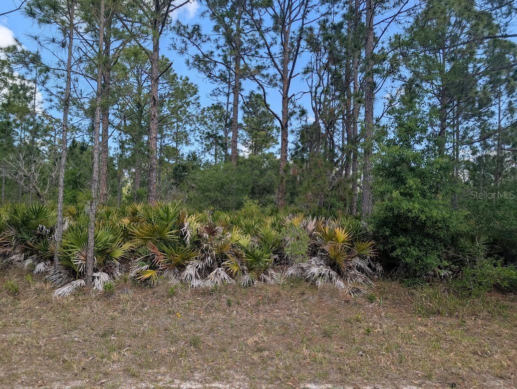 508 ORCHID DR, INDIAN LAKE ESTATES, FL, 33855