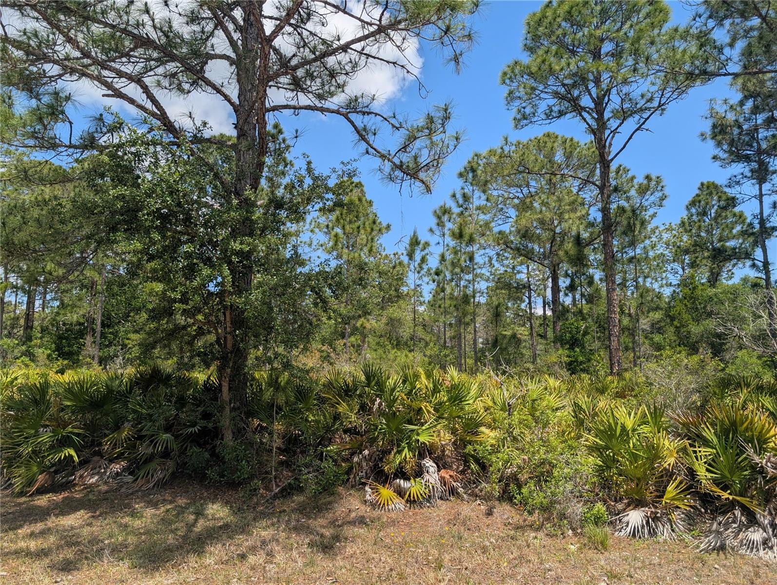 508 ORCHID DR, INDIAN LAKE ESTATES, FL, 33855