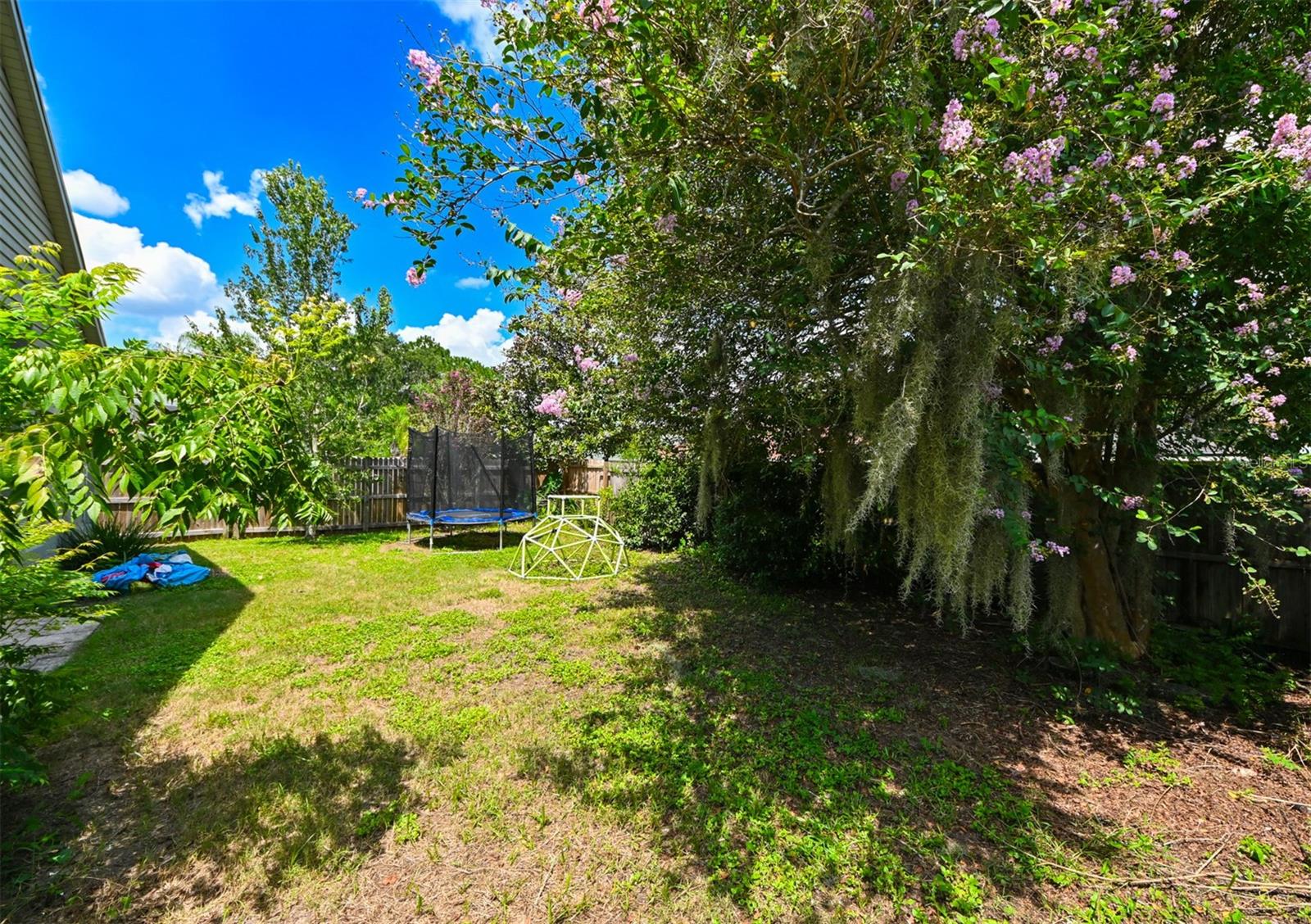 4517 WILD PLUM LN, LUTZ, FL, 33558