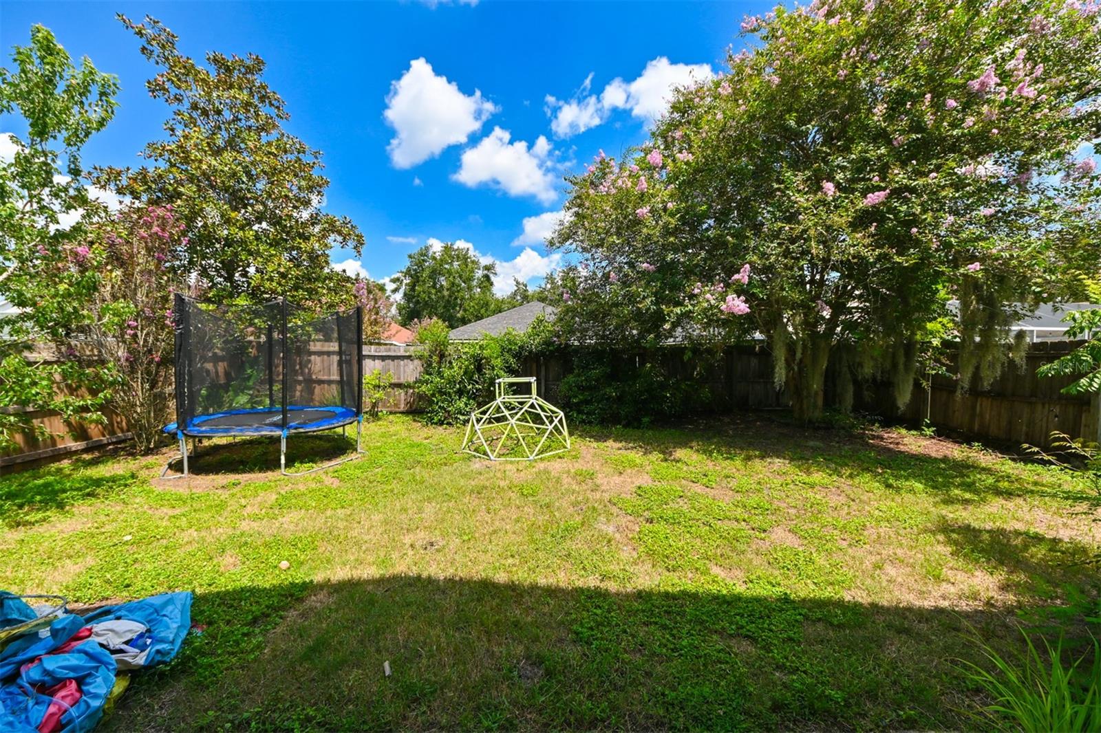 4517 WILD PLUM LN, LUTZ, FL, 33558