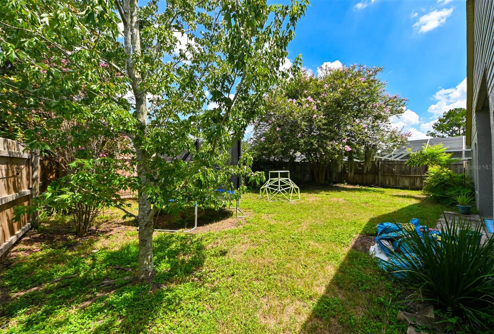 4517 WILD PLUM LN, LUTZ, FL, 33558