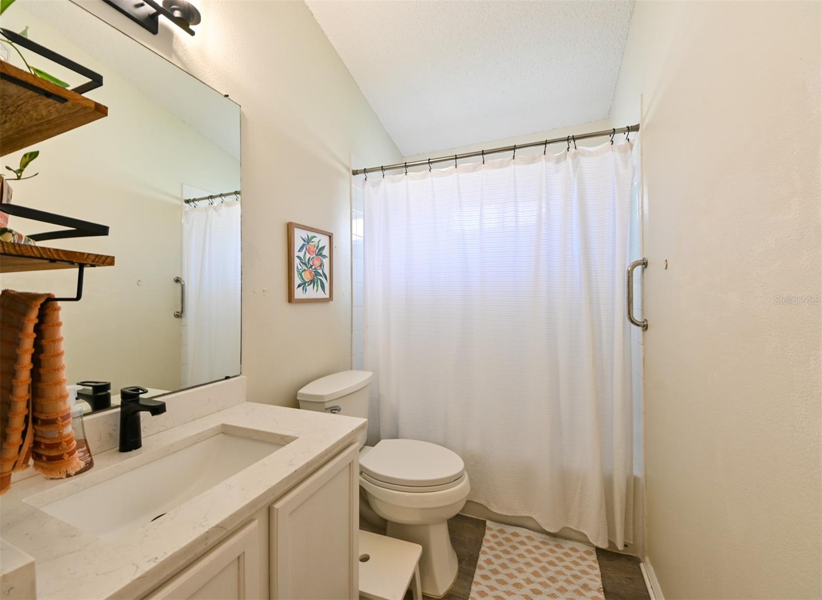 4517 WILD PLUM LN, LUTZ, FL, 33558
