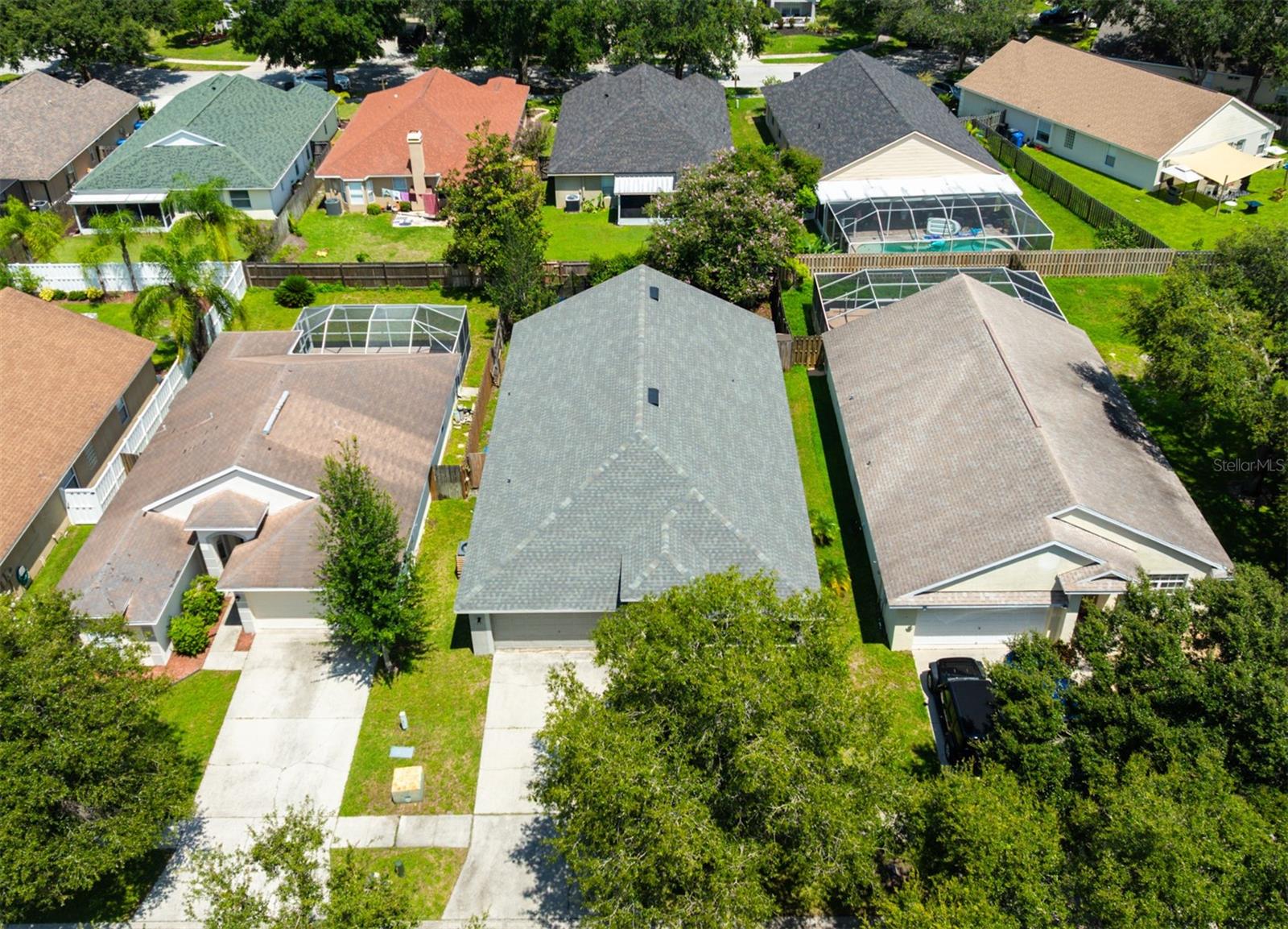 4517 WILD PLUM LN, LUTZ, FL, 33558