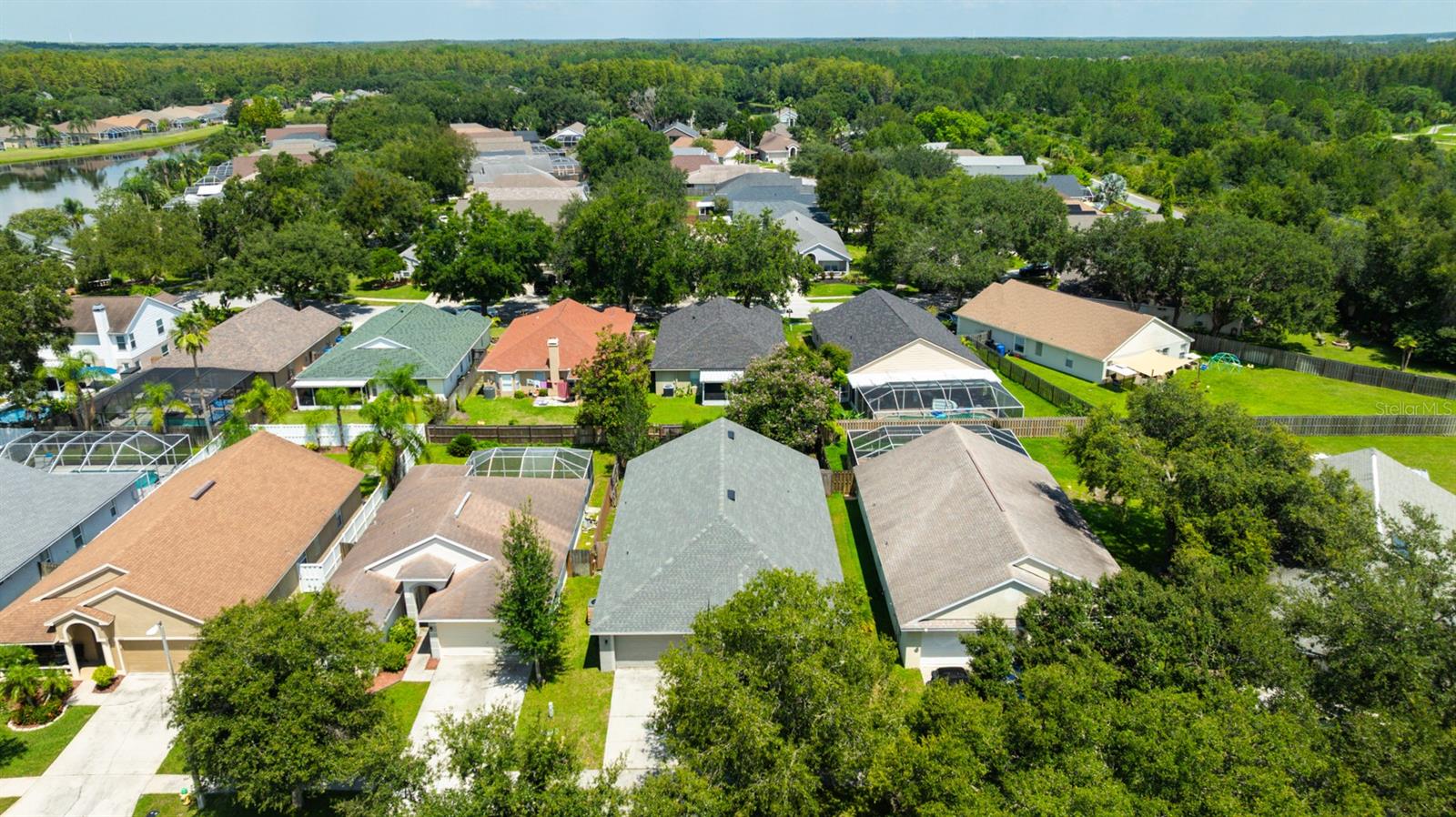 4517 WILD PLUM LN, LUTZ, FL, 33558
