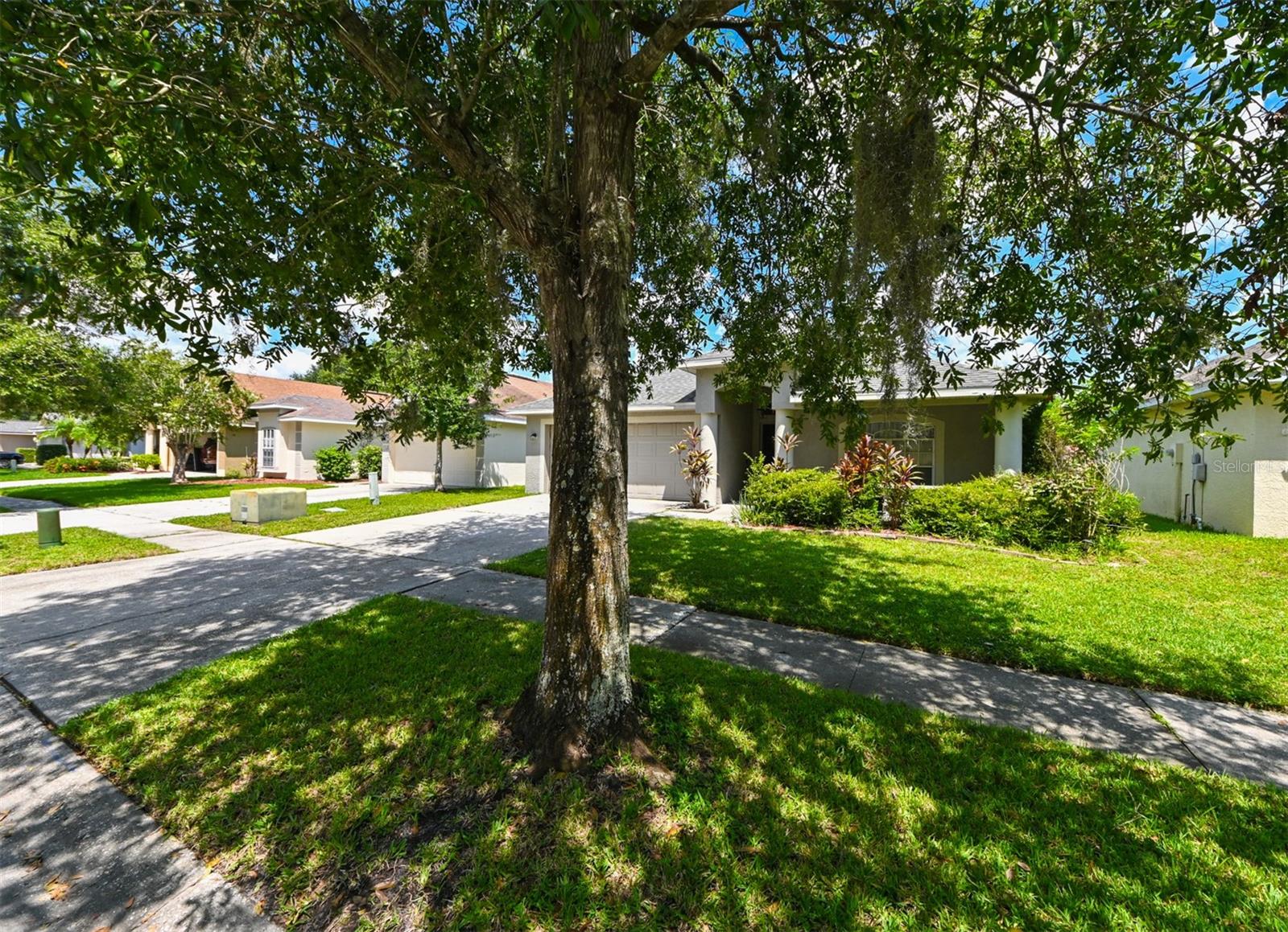 4517 WILD PLUM LN, LUTZ, FL, 33558