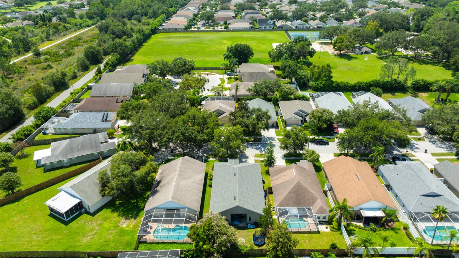 4517 WILD PLUM LN, LUTZ, FL, 33558