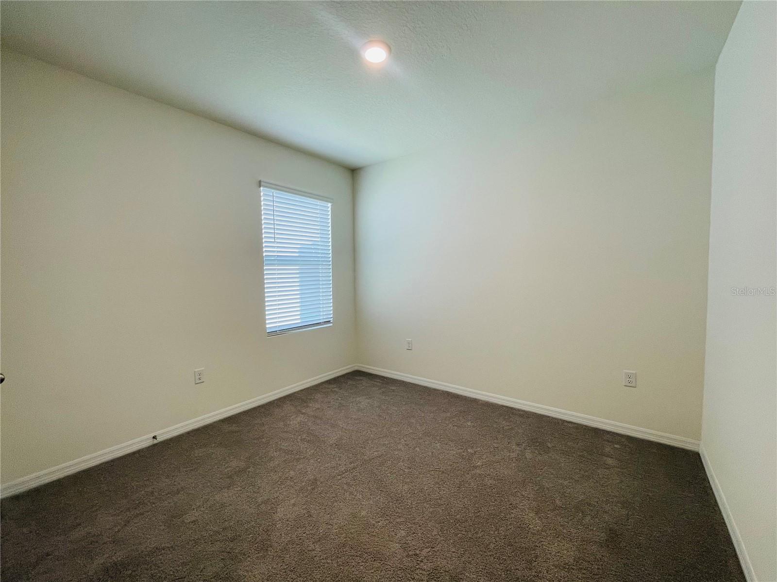 17043 OVAL RUM DR, WIMAUMA, FL, 33598