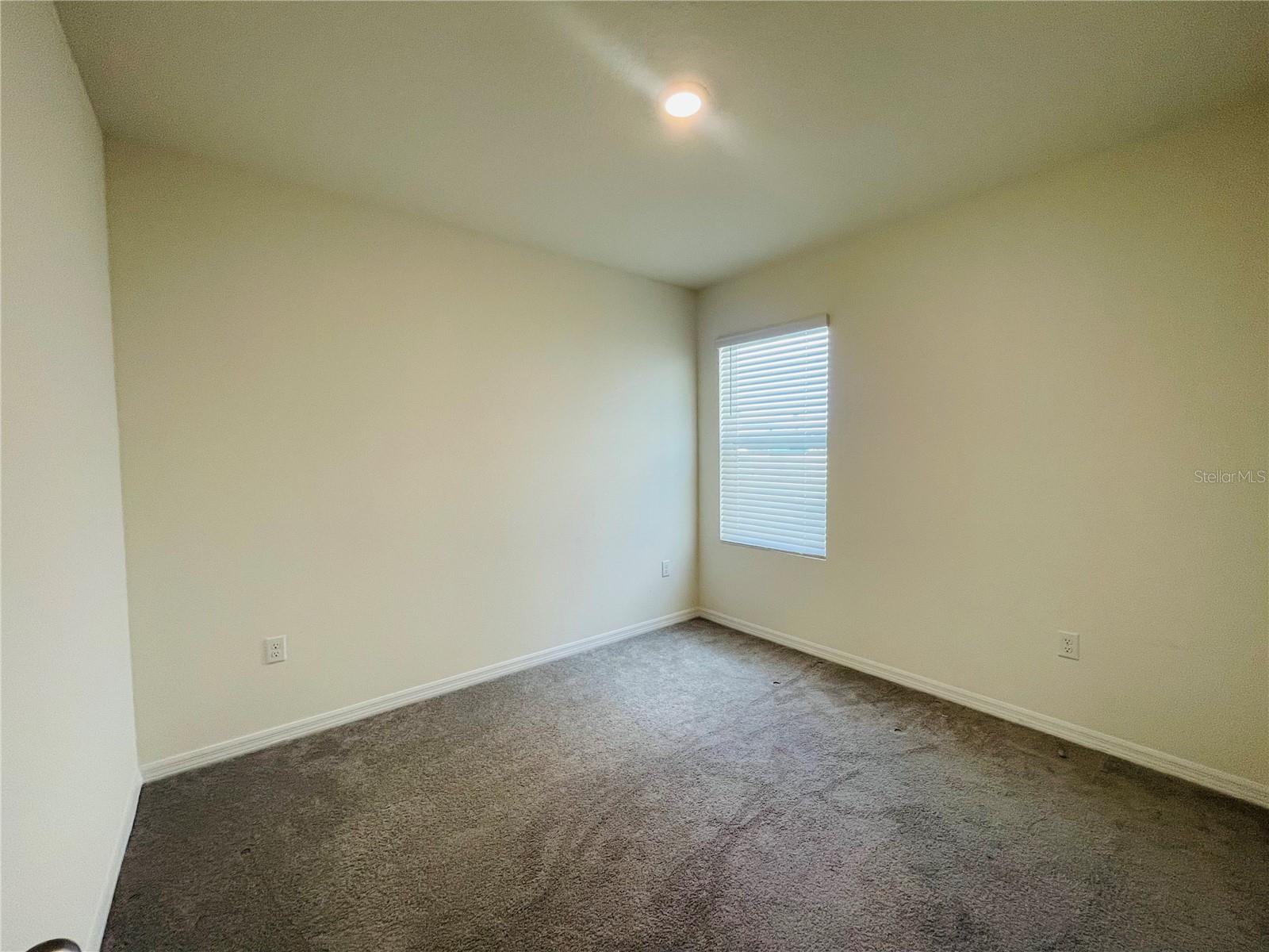 17043 OVAL RUM DR, WIMAUMA, FL, 33598