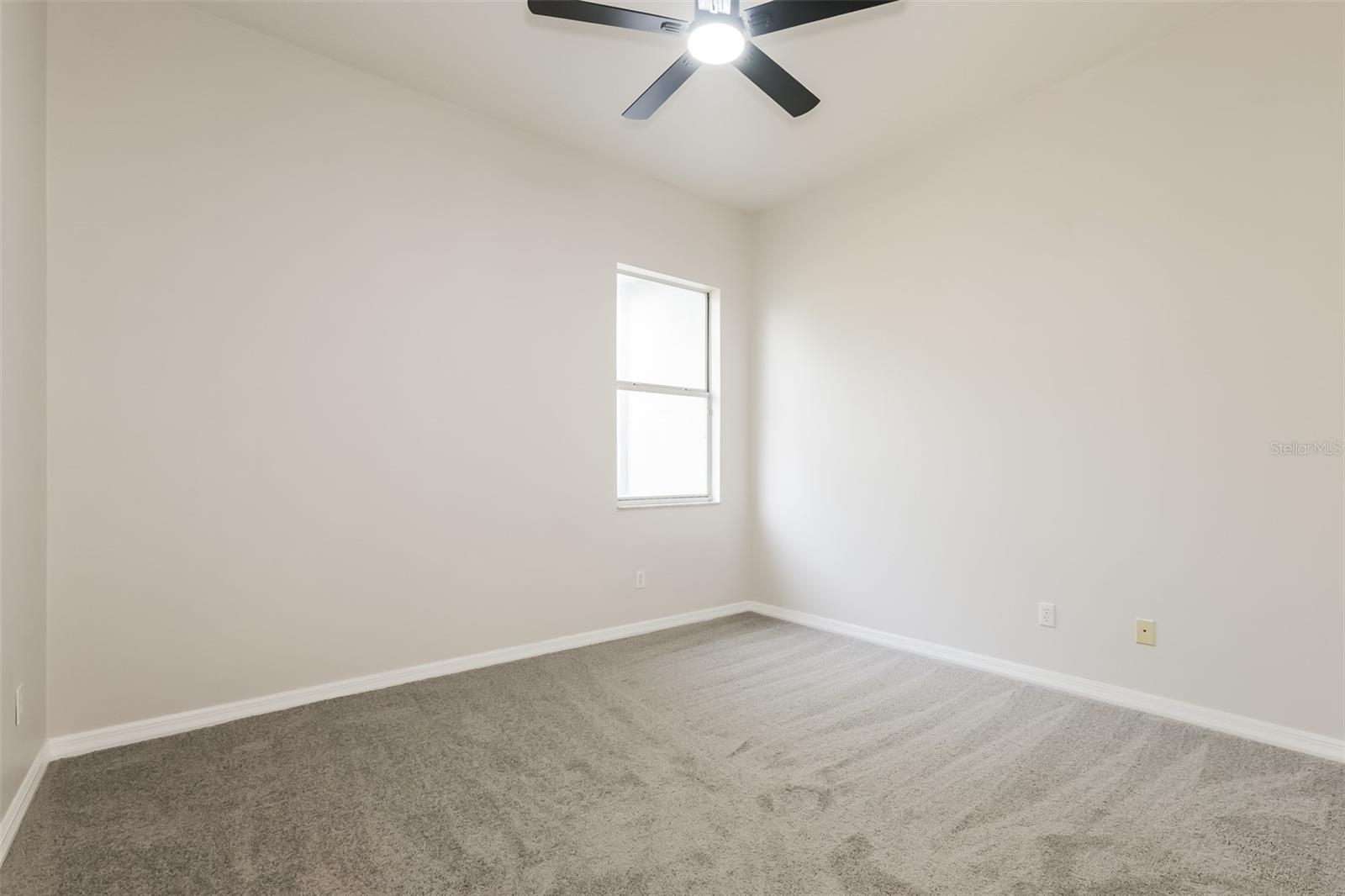 3810 SPRUCE PINE DR, VALRICO, FL, 33596