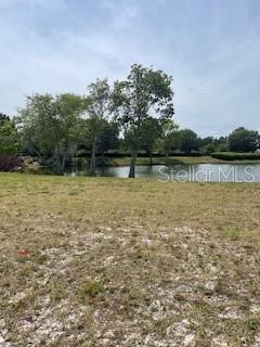 699 MAHOGANY RUN, PALM COAST, FL, 32137